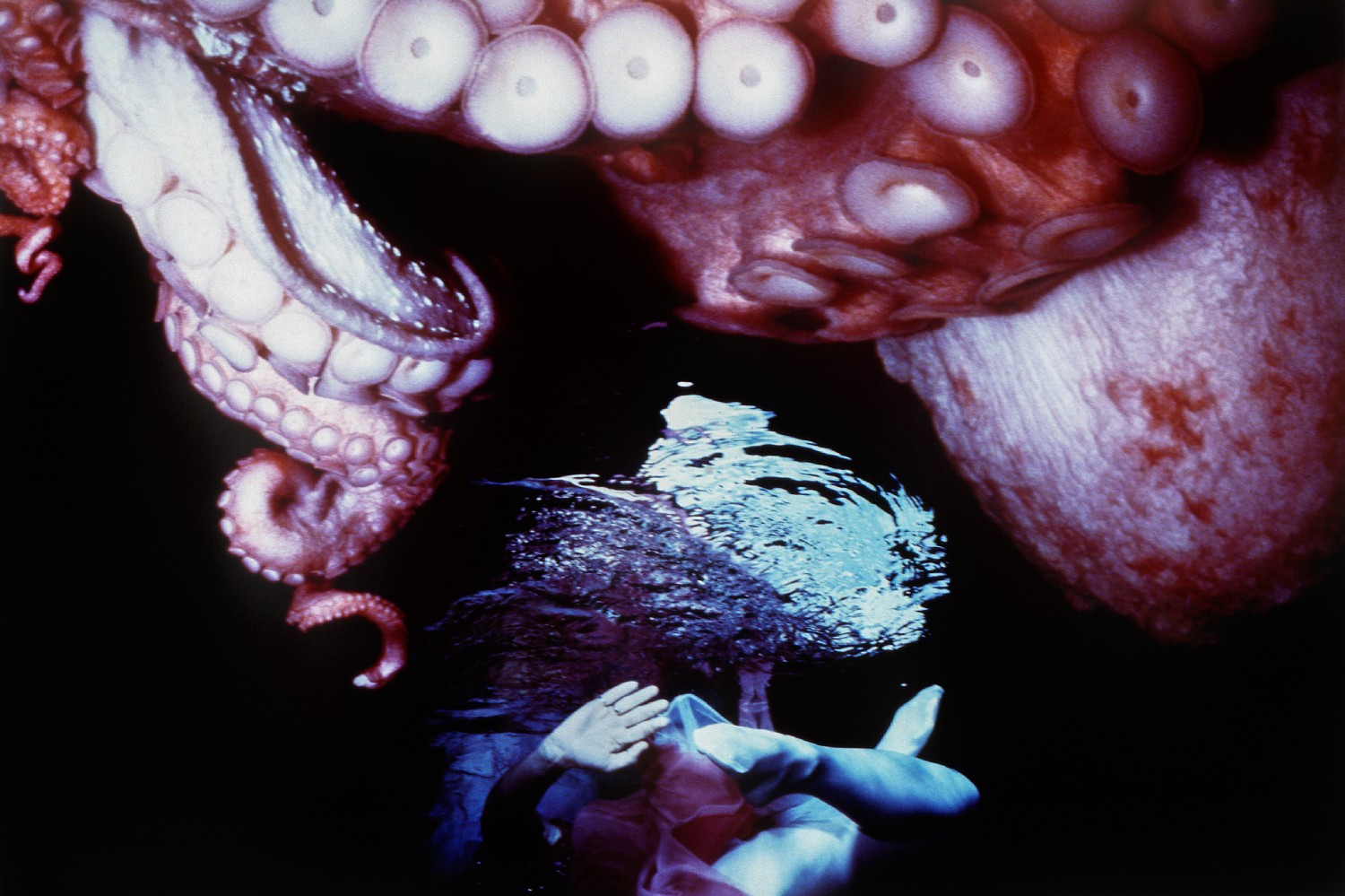 Her Tentacles Left Me No Choice #33